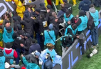 塞内加尔球迷冲进球场殴打工作人员