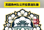 苏超扬州队公开投票选队徽，30款候选方案含足球大运河等元素