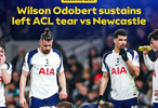 热刺前锋奥多贝尔左膝十字韧带断裂赛季报销