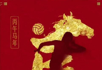 意甲女排球星庄宇珊朱婷等向中国球迷拜年