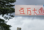 海港已多年没上百万的大鱼 而申花倒是这两年都在淘大鱼